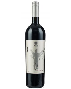 Filare 18 Cabernet Franc IGT  2020