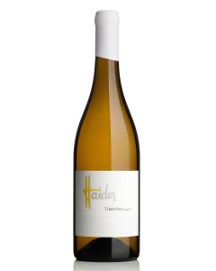 Traminer Domkapitel 2024