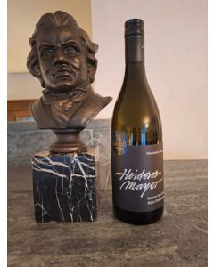 Roter Veltliner Ried Steinberg  2023
