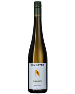 Riesling Ried Engelberg DAC 2024