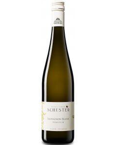 Sauvignon Blanc 2025