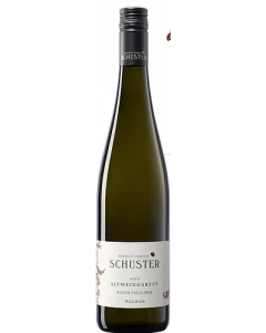 Roter Veltliner Magnum Ried Altweingarten 2025