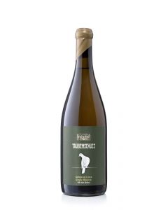 Grüner Veltliner MX Alte Reben Große Reserve  2020